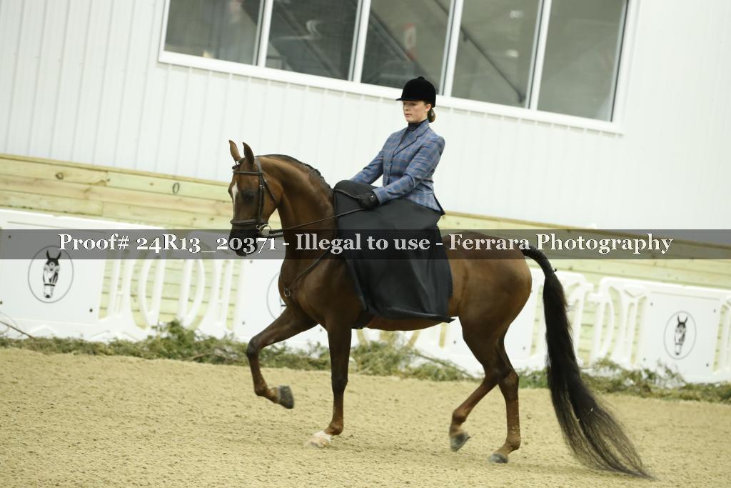 Proof 24R13_20371