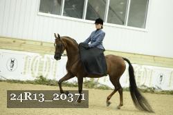 24R13_20371 proof