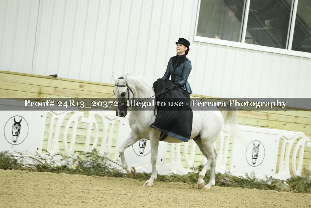 Proof 24R13_20372