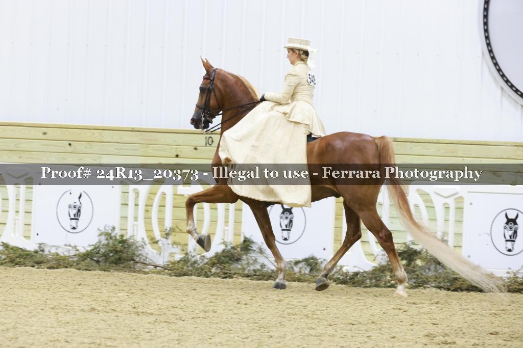 Proof 24R13_20373