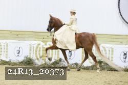 24R13_20373 proof