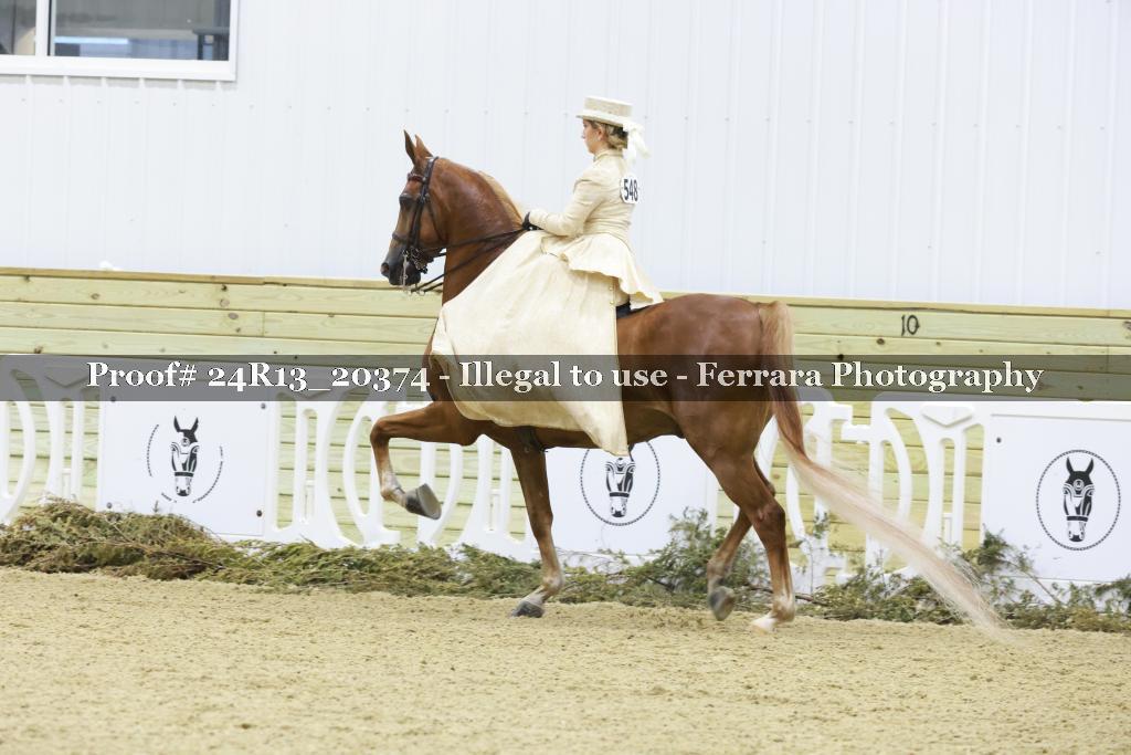 Proof 24R13_20374