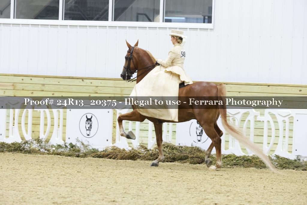 Proof 24R13_20375