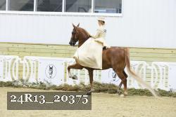 24R13_20375 proof