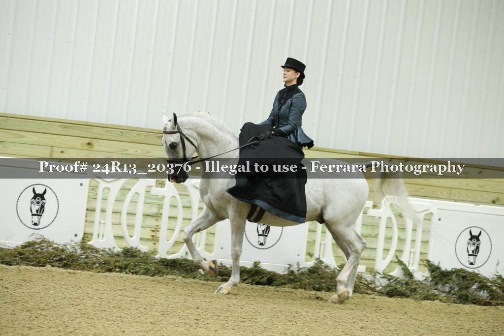 Proof 24R13_20376