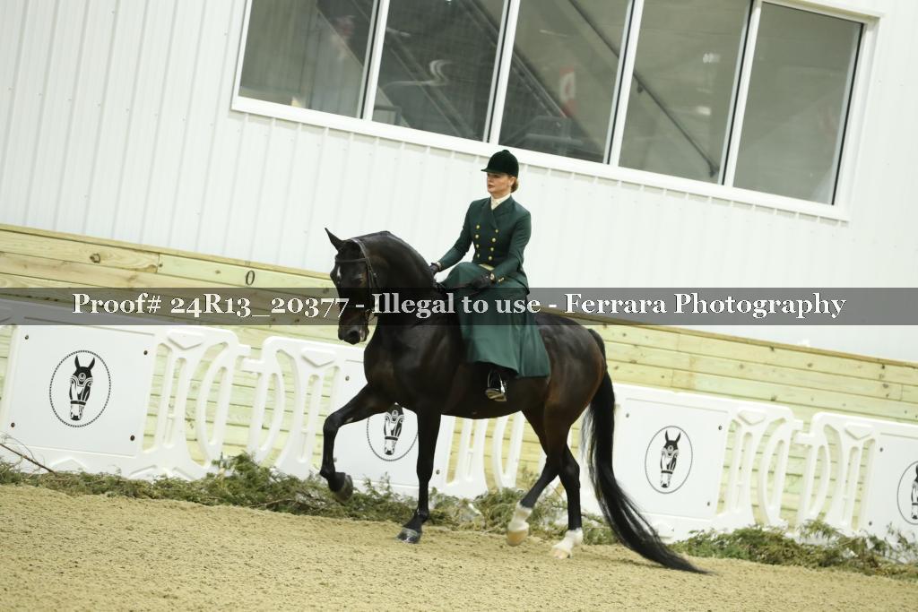 Proof 24R13_20377