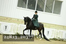 24R13_20377 proof