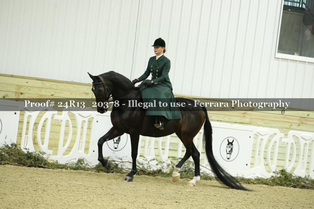 Proof 24R13_20378