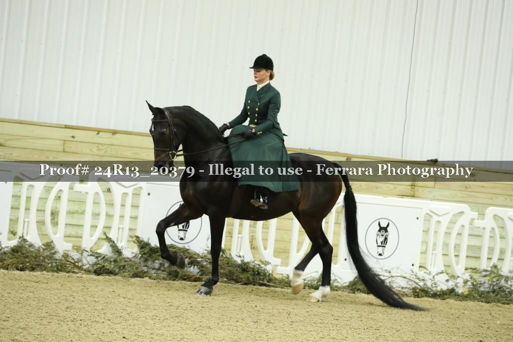 Proof 24R13_20379