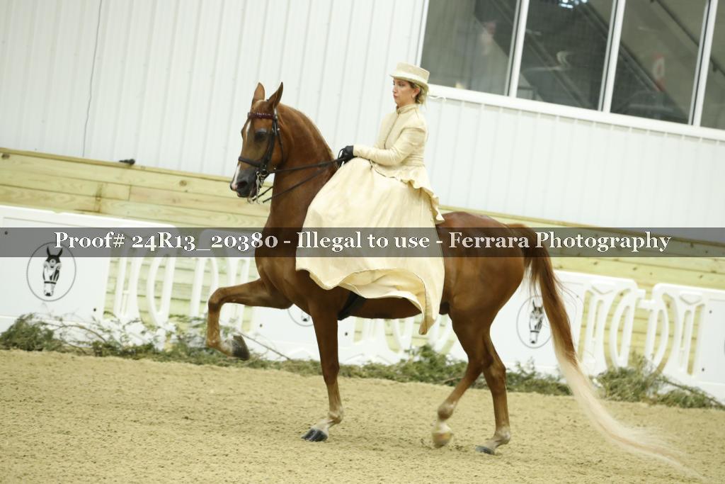 Proof 24R13_20380
