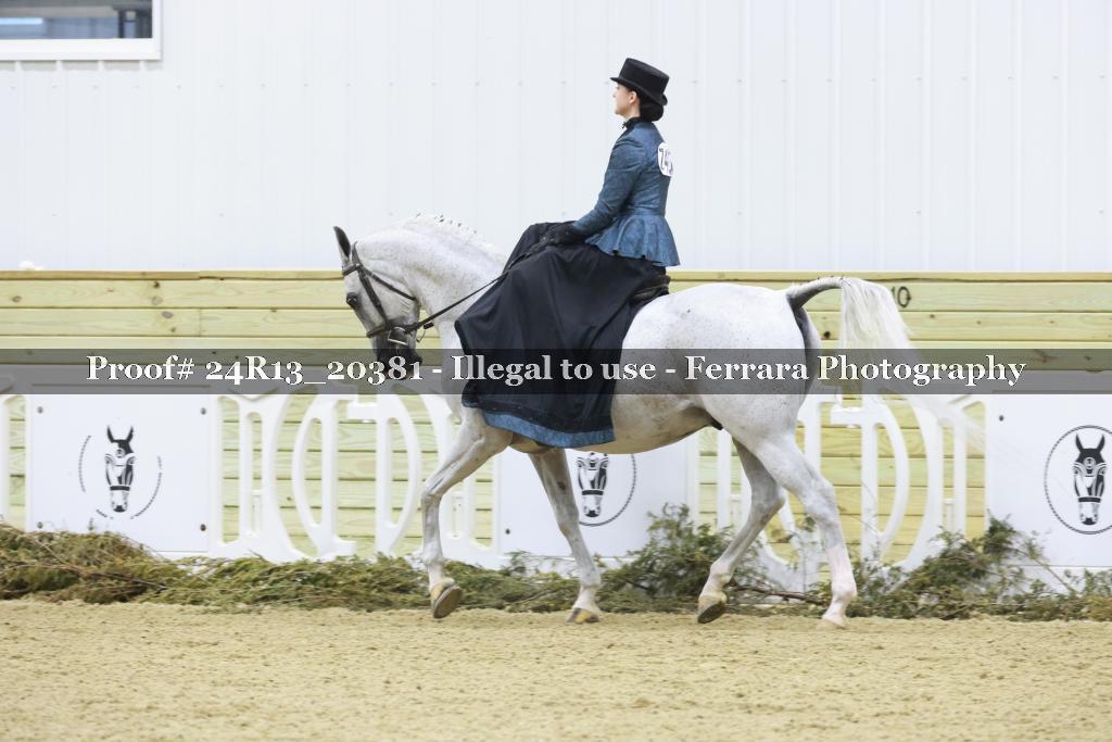 Proof 24R13_20381