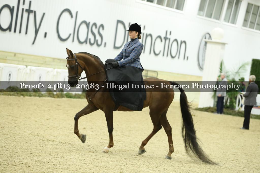 Proof 24R13_20383