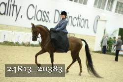 24R13_20383 proof