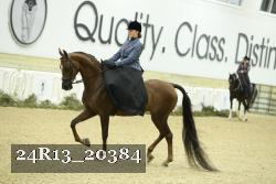 24R13_20384 proof