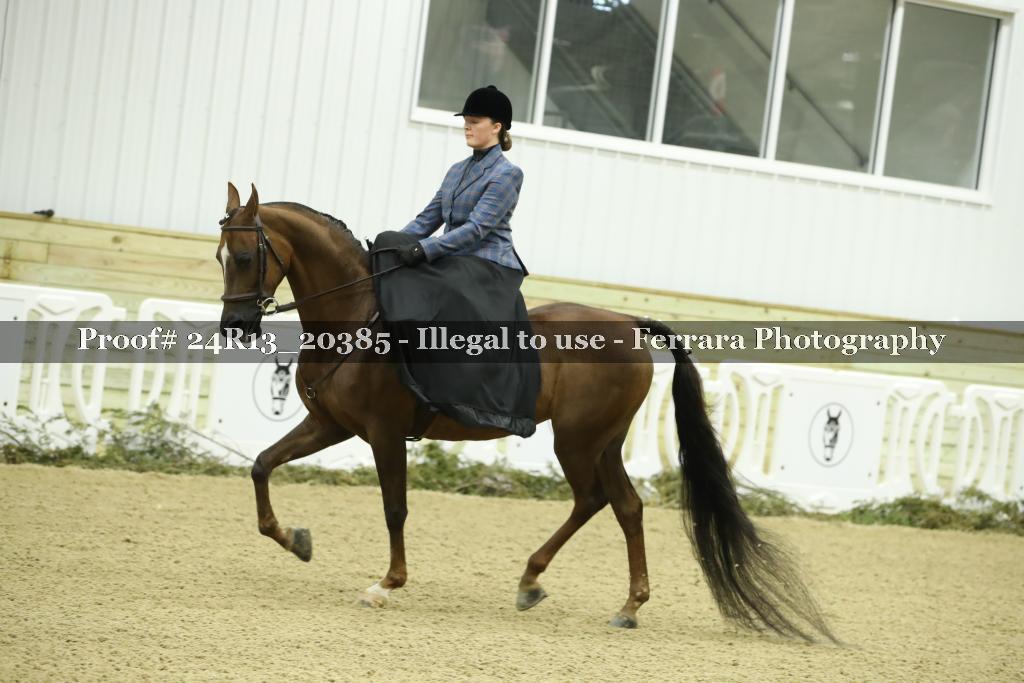 Proof 24R13_20385