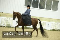 24R13_20385 proof