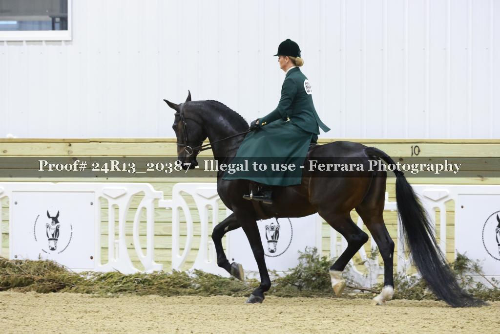 Proof 24R13_20387