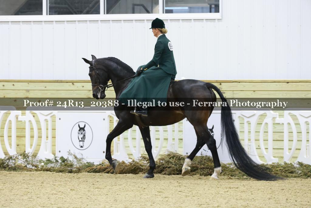 Proof 24R13_20388
