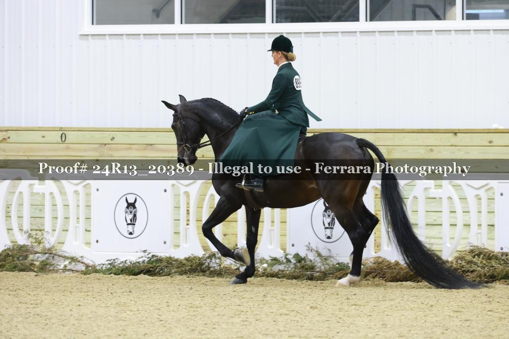 Proof 24R13_20389