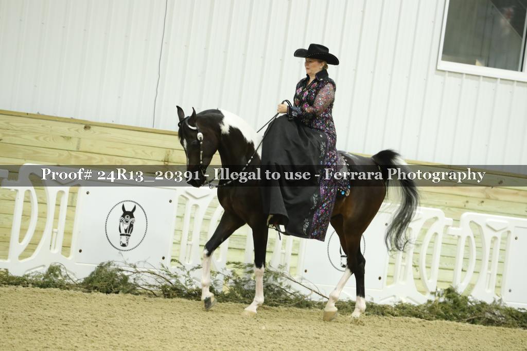 Proof 24R13_20391