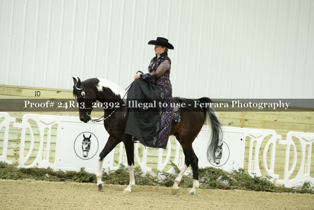 Proof 24R13_20392