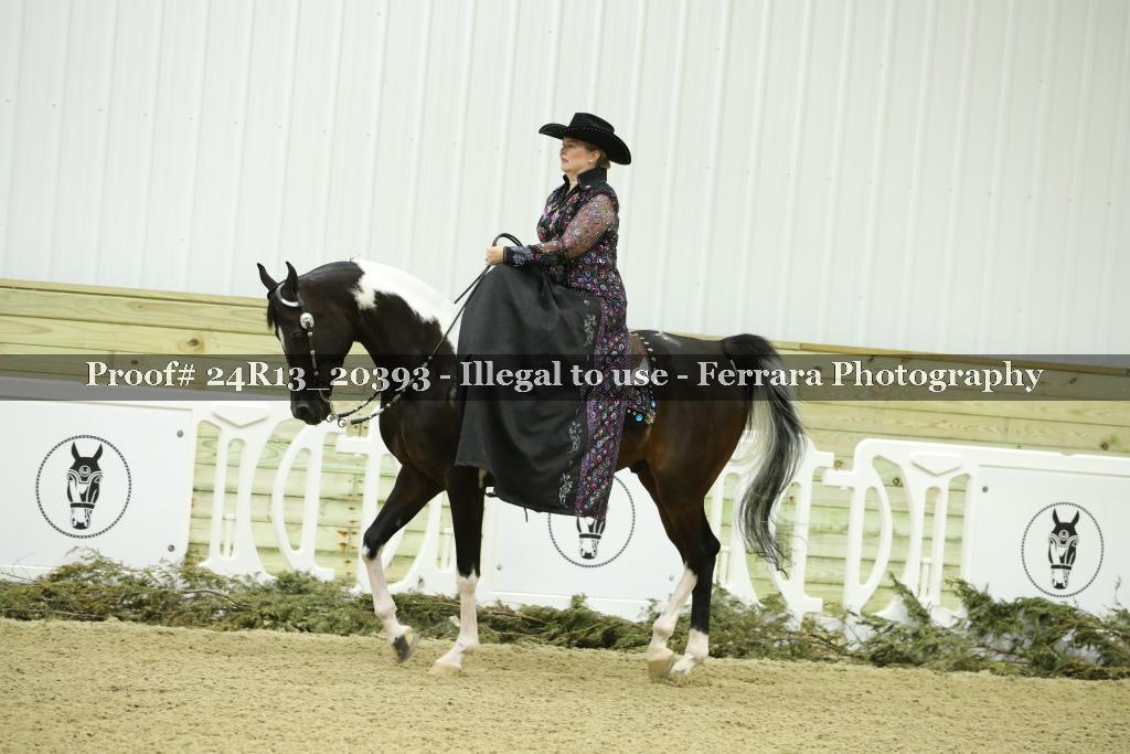 Proof 24R13_20393