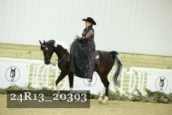 24R13_20393 proof