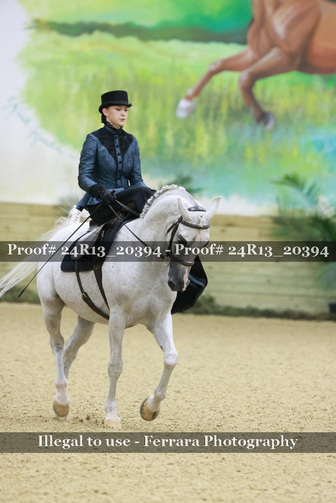 Proof 24R13_20394