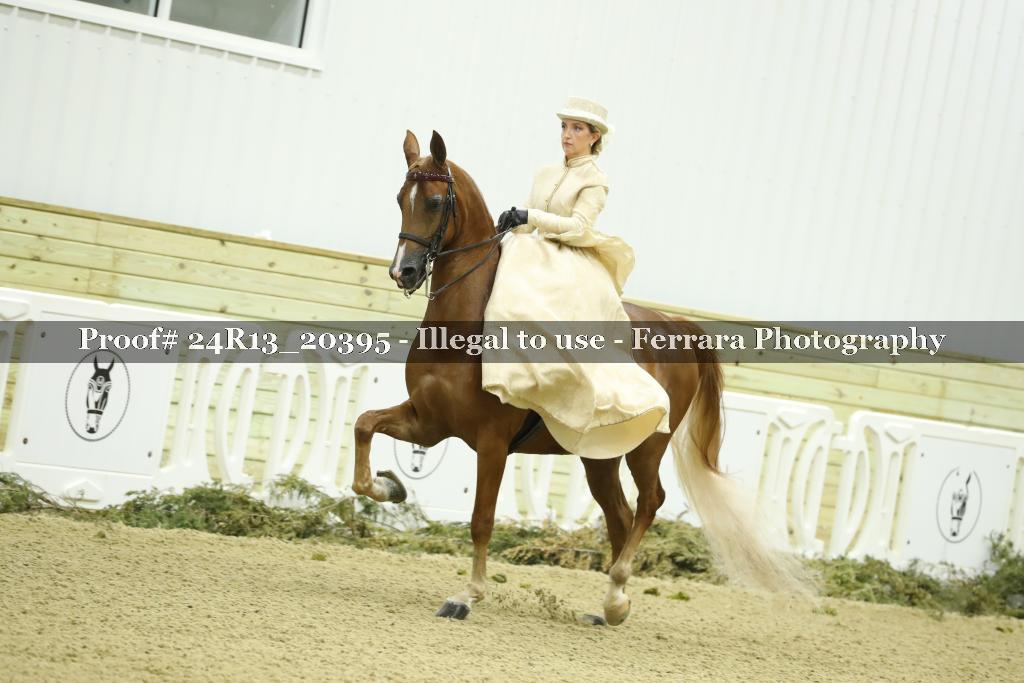 Proof 24R13_20395