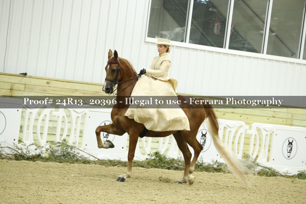 Proof 24R13_20396