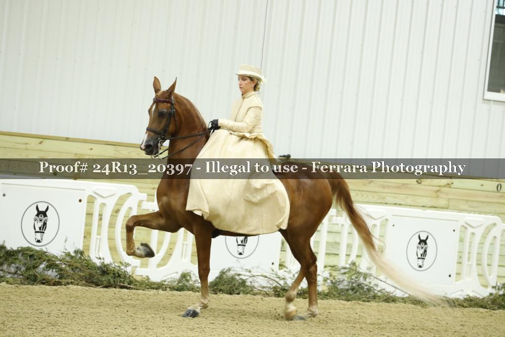 Proof 24R13_20397