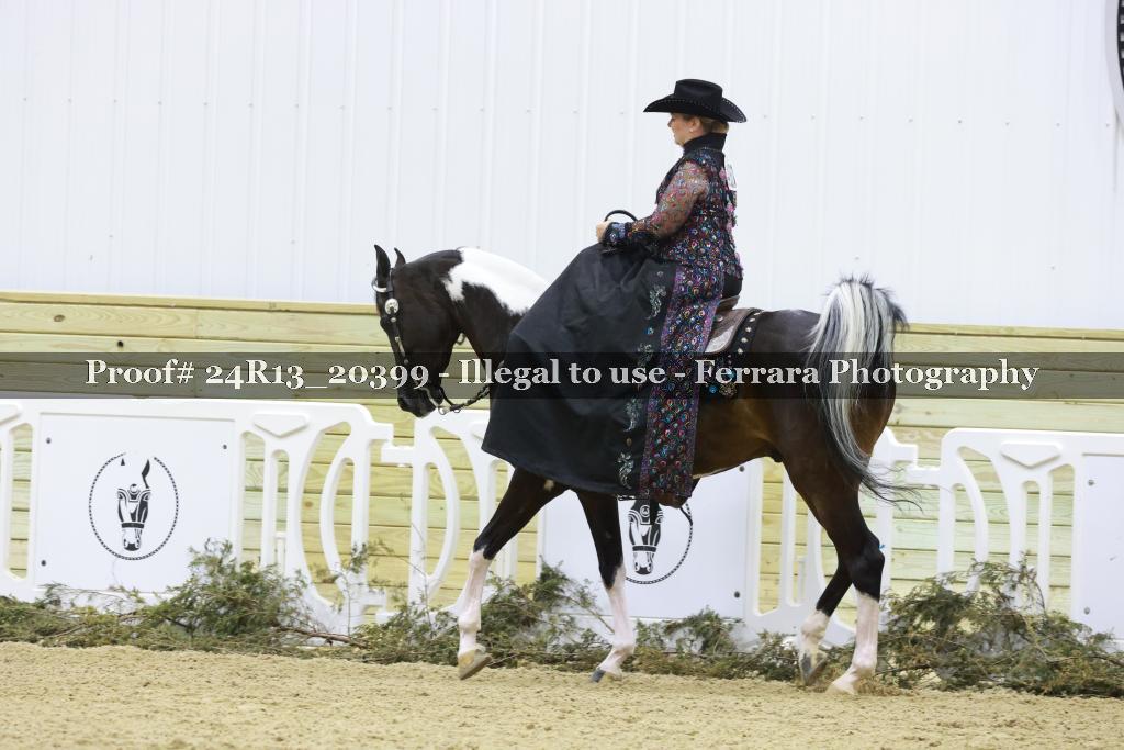 Proof 24R13_20399