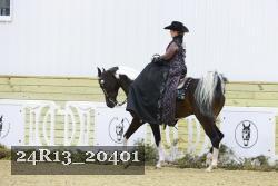 24R13_20401 proof