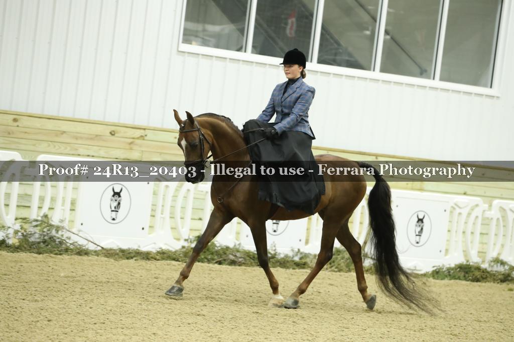 Proof 24R13_20403