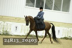 24R13_20403 proof