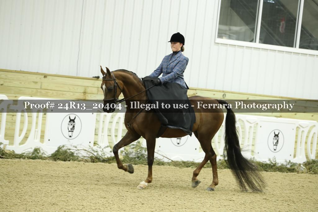 Proof 24R13_20404