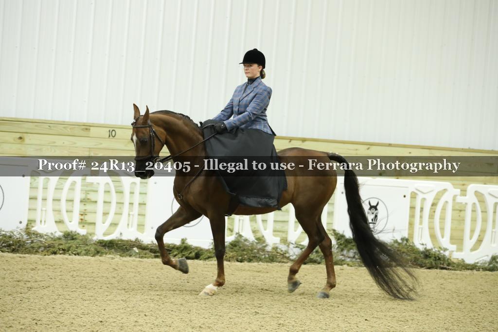Proof 24R13_20405