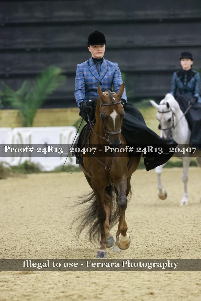 Proof 24R13_20407
