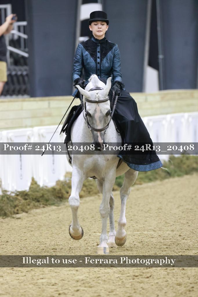 Proof 24R13_20408