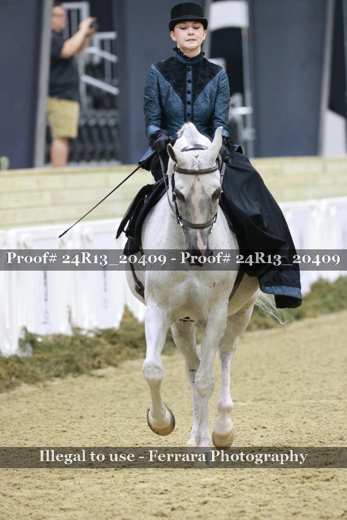 Proof 24R13_20409
