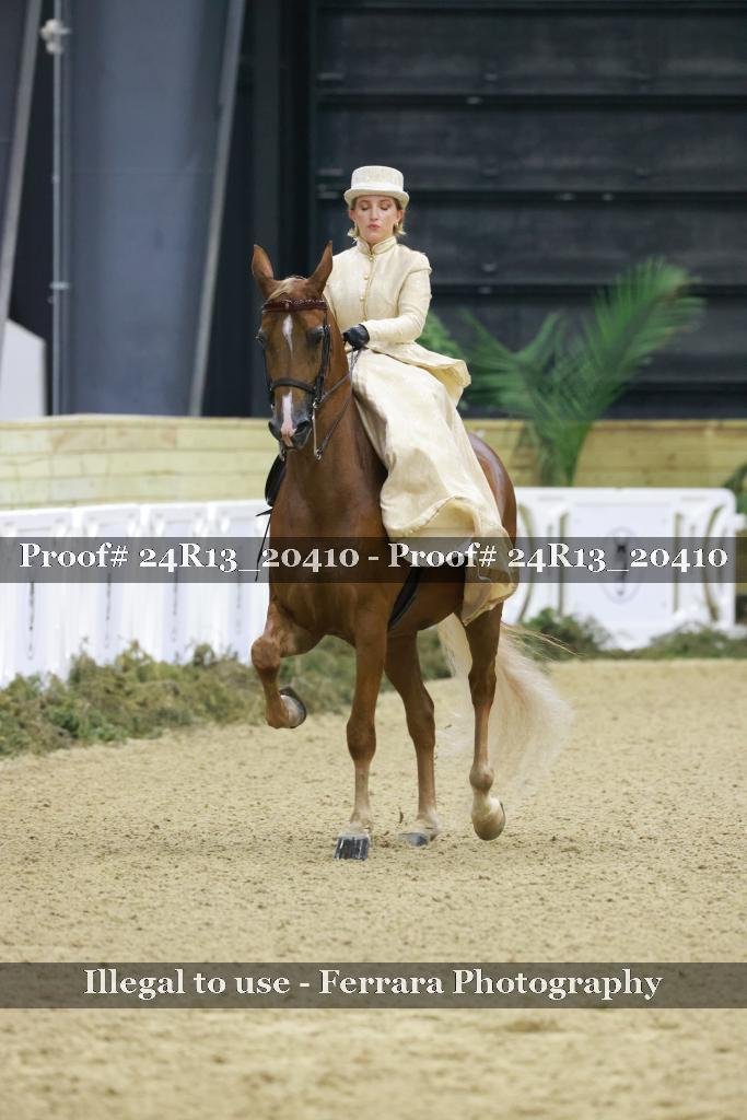 Proof 24R13_20410