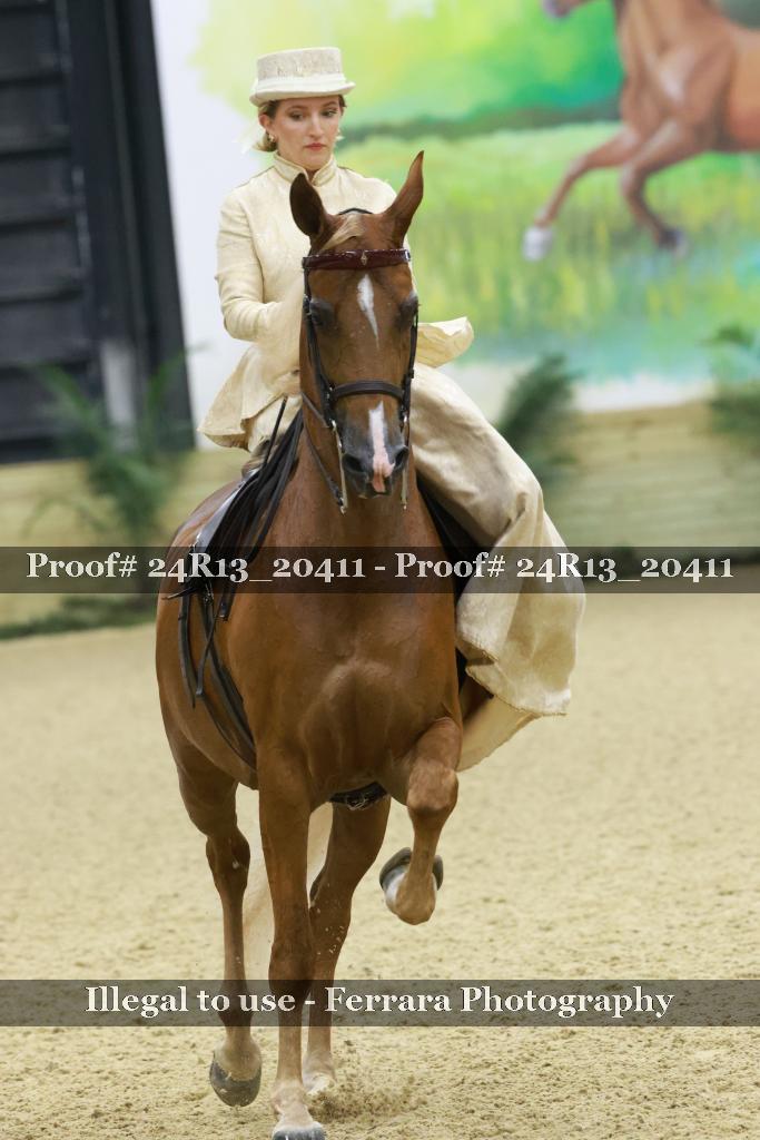 Proof 24R13_20411