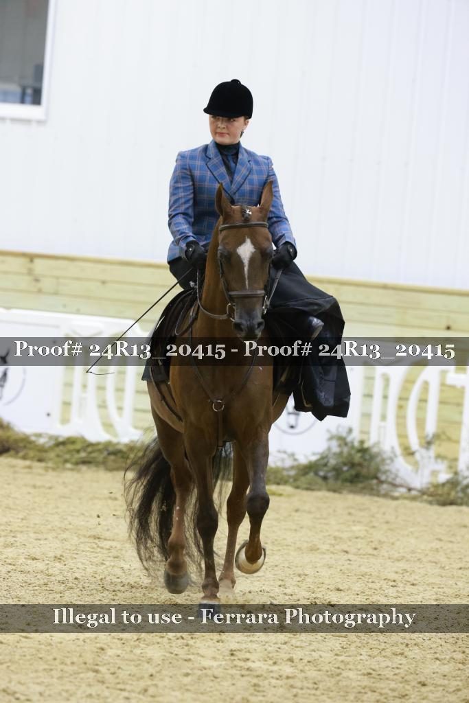 Proof 24R13_20415