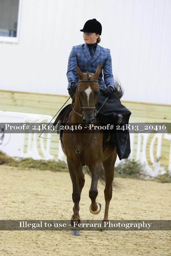 Proof 24R13_20416
