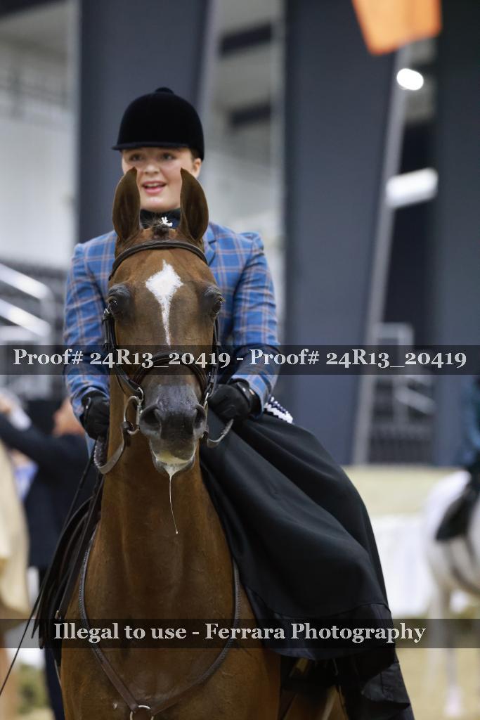 Proof 24R13_20419