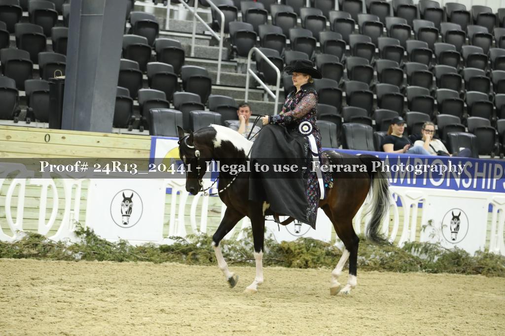 Proof 24R13_20441
