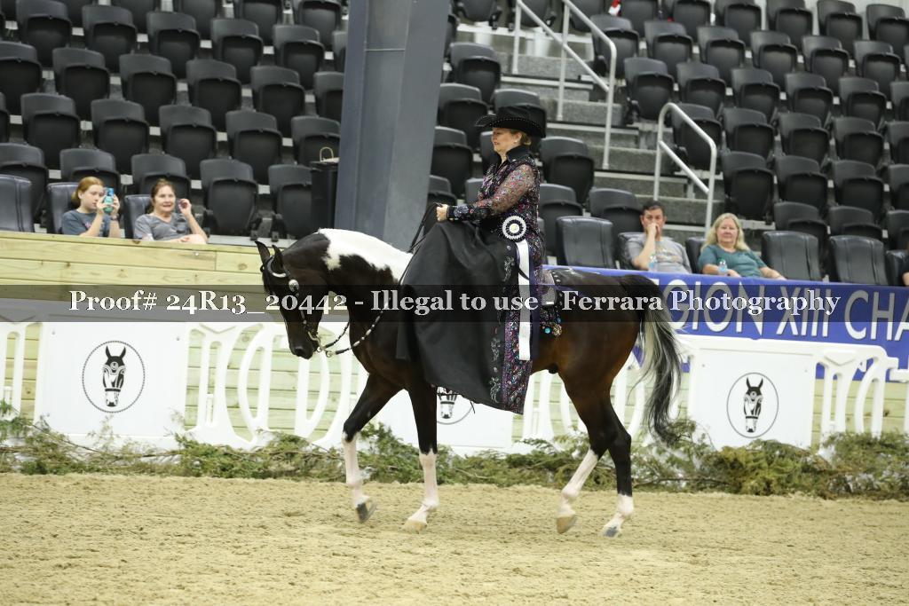 Proof 24R13_20442