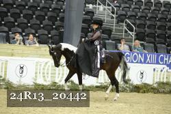 24R13_20442 proof