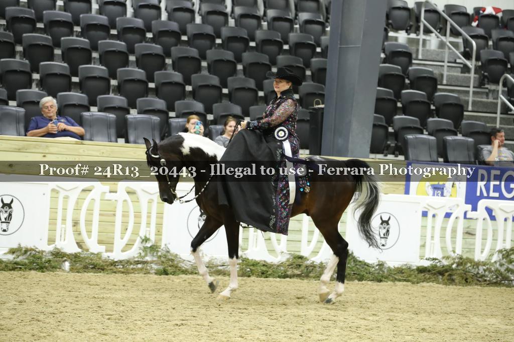 Proof 24R13_20443