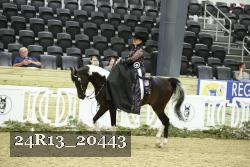 24R13_20443 proof